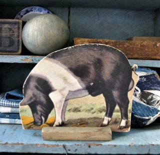 Antique Cardboard Farm Animal Wood Stand Hampshire Boar