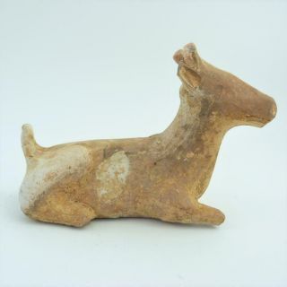 Rare Chinese Han Dynasty Pottery Figure Of A Recumbent Deer