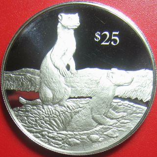 1993 British Virgin Islands $25 Silver Proof Ferret Bvi Endangered Wildlife Rare