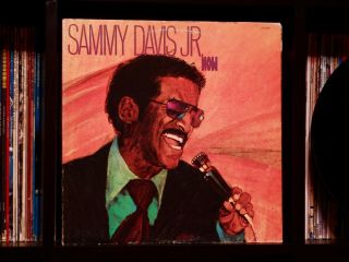 Sammy Davis Jr ♫ Now ♫ Rare Mgm Records ‎true 1st Press Vinyl Lp W/foldout Cover