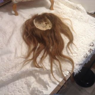Vintage 14 " Circumference Medium Brown Human Hair Doll Wig - Needs Attention