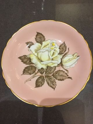 Antique Paragon Cabbage Rose Pink Porcelain Saucer