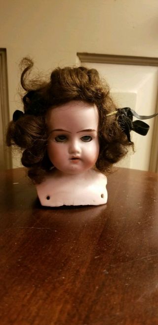 Antique Armand Marseille Bisque Doll Head Mabel 11/0