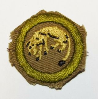Stalking Merit Badge Type C Boy Scouts Of America Rare 1940 
