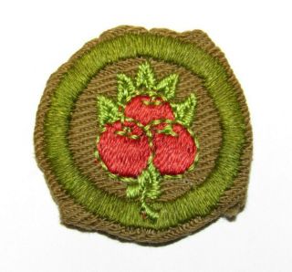 Fruit Culture Merit Badge Type C Boy Scouts Of America Rare 1940 