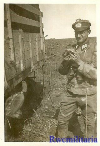 Rare Wehrmacht Officer In Field W/ Binoculars Wearing Camo Parka; Russia