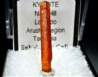 Minerals : Kyanite Crystal Of A Rare Orange Color From Tanzania