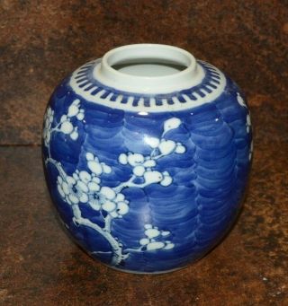 Chinese Blue And White Prunus Blossom Ginger Jar Two Ring Mark China