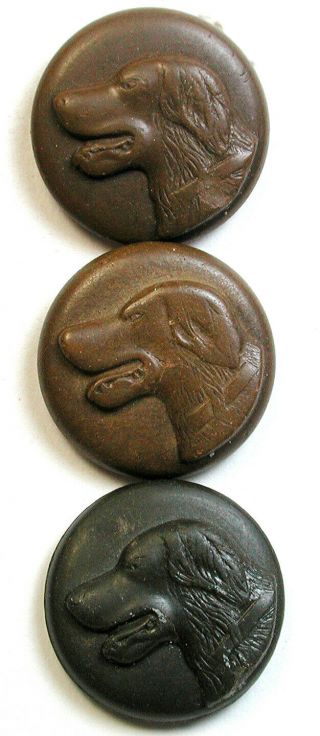 3 Antique Sporting Buttons Hound Dog Heads - 7/8 "
