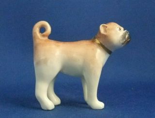 Antique 19thc Porcelain Miniature Figure Of A Pug Dog - C1835 - Derby