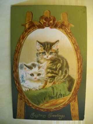 Cats Christmas Greetings Antique 1909 Embossed Postcard Chromo 2 Kittens