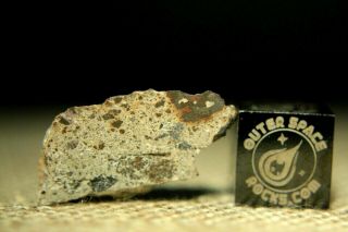 Nwa 8362 Hed Howardite Meteorite 1.  9g Part Slice Of Rare Achondrite With Metal
