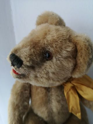 Antique vintage old German baby teddy bear 1930s,  9 