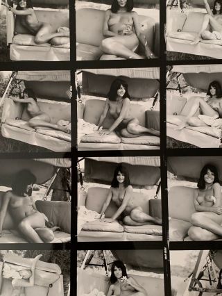 Vintage 8x10 Contact Sheet 50 - 70s Flower Art Posed Nude On Swingby Serge Jacques