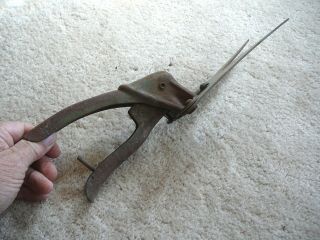 ANTIQUE VINTAGE METAL YARD GARDEN HAND CLIPPER CUTTER SHEARS TOOL - OLD GREEN 2