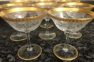 8 Antique Elegant Etched Glass Gold Encrusted Cambridge Tiffin Sherbet Champagne