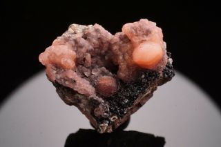 Rare Locale Rhodochrosite Crystal Cluster Judson Mine,  Minnesota - Ex.  Pinch