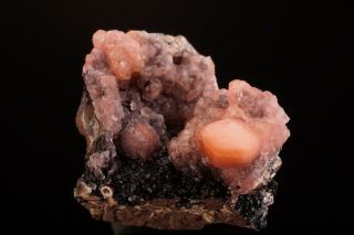 RARE LOCALE Rhodochrosite Crystal Cluster JUDSON MINE,  MINNESOTA - Ex.  Pinch 3