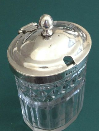Solid Silver and Cut Glass Victorian Preserve Jar,  London,  1886,  Thomas Ingleton 2