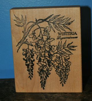 Psx Wisteria Wood Mounted Rubber Stamp Flowers Floral Botanical K - 648 Rare