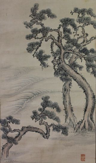 Old Japanese Hanging Scroll " Pine Tree On Beach " Taisho Era F76