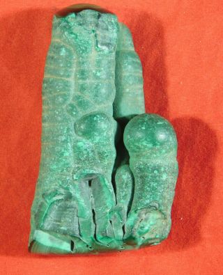 A Polished Very Rare And Natural Malachite Stalactite From The Congo 101gr