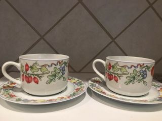 Rare Vintage Pillivuyt Porcelain French Tea Coffee Cup W/ Saucer Fruit Design