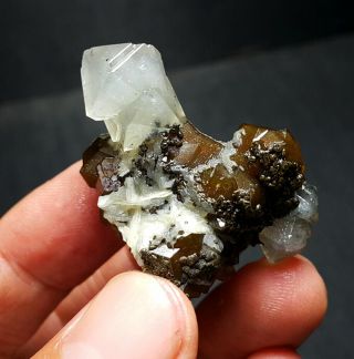 29 G Rare Natural Bone Crystal On Garnet,  Mineral Specimens,  Inner Mongolia A101