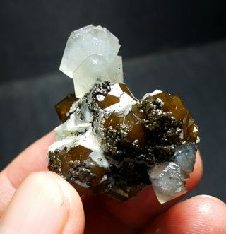 29 g Rare Natural bone crystal on Garnet,  mineral specimens,  Inner Mongolia A101 2