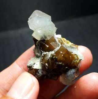 29 g Rare Natural bone crystal on Garnet,  mineral specimens,  Inner Mongolia A101 3