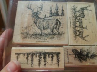 Stampin Up Noble Deer Rare And