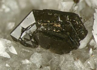 Rare black Gmelinite - Na micro crystals - Mont - Saint Hilaire – Poudrette quarry, 2