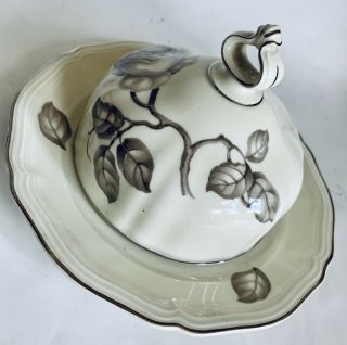 Vintage Rosenthal Germany Chippendale Black Hand Painted Rose Butter Dish Rare
