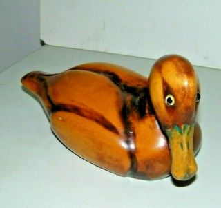 Wm.  P.  Koelpin Wood Duck Carver /artist 12 " Decoy Rare Dated Signed 1981 Wisconsin