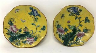 Antique 1900s Chinese 6 " Bowls Pheasant Peacock Yellow Green Relief