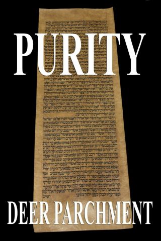 Torah Scroll Bible Manuscript Vellum Fragment/leaf Judaica 350 Yrs Morocco