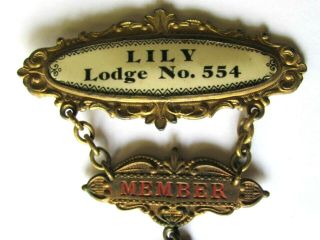 Antique Odd Fellows Ioof Lily Lodge 554 Stronghurst Ill Member Medal Badge
