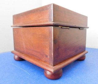 Australian Cedar Jewellery Desktop Box Federation Era 1900s