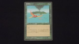 1x Fbb 4th Japanese Birds Of Paradise Mtg Magic Fourth Edition X1