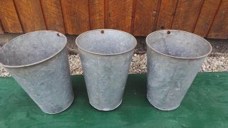 Vintage 3 Maple Syrup Old Galvanized Sap Tapered Buckets Planters