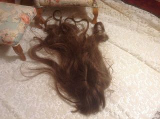 15 - 1/2 " Antique French Human Hair Medium Brown Doll Wig