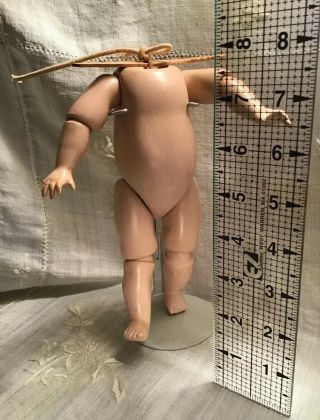 Vintage 8 " Composition Doll Body - Fully Jointed - For Bisque Socket Head Doll - Stand