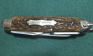 Antique Bone Handle " Scout Knife " W.  H.  Morley & Sons Germany