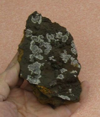 Large Mineral Specimen Of Austinite From The Gold Hill Mine,  Utah