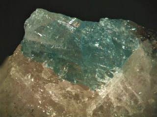 Kovdorskite Rare Mineral Micromount From Russia