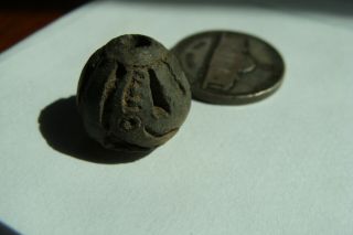 Ancient Manabi Pre - Columbian Armadillo Ceramic Spindle Whorl Bead 500bc - 500ad