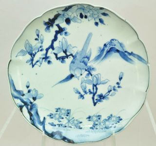 Antique Japanese Arita Blue And White Hand Painted Bird Bowl Plate 19th Century