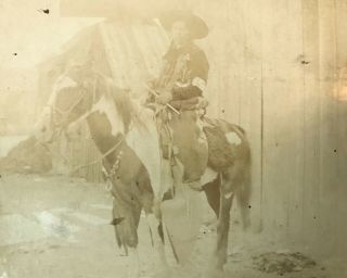 Antique Photo of Native American on Paint Pony 2