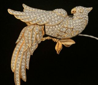 Vintage Large Swarovski Paris Crystal Bird Brooche Gold Tone - Rare