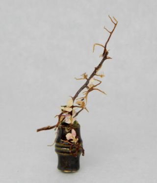 Vintage Japanese Ikebana Flower Vase - Artisan Dollhouse Miniature 1:12 2